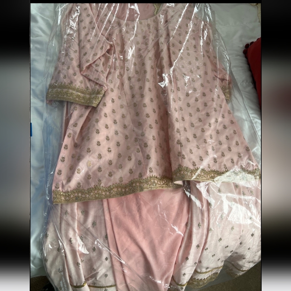 Elegant Pink Embroidered Indian Wedding Dress 2x/3x